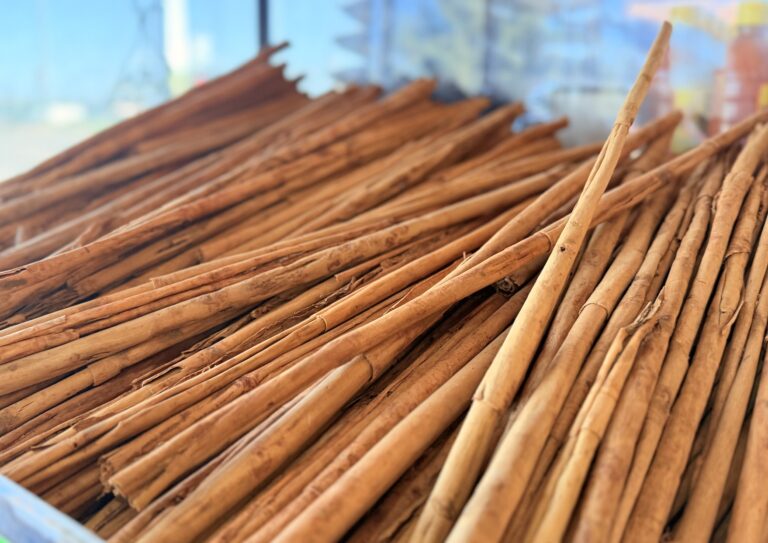 Imagen 06 10 25 a las 4.37 p.m 768x543